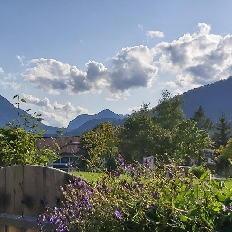 Apartment Andrea - Chiemgau Karte - Studio - 18