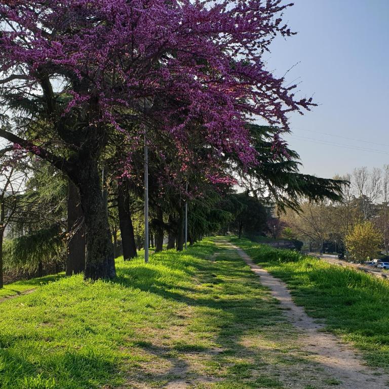 DIVINA SAN ZENO - Appartamento con 1 Camera da Letto - 28