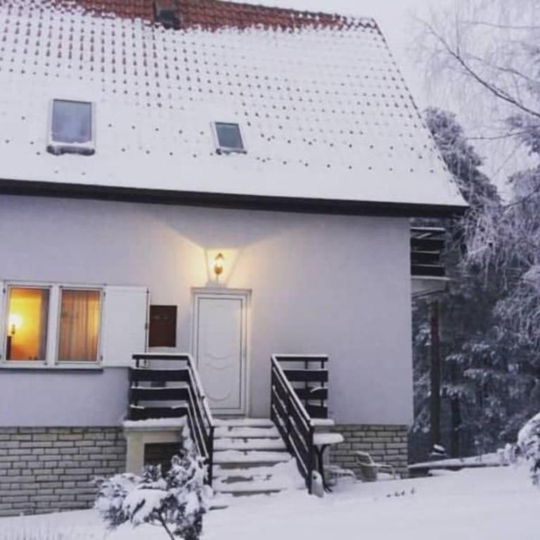 Apartman Tripković - Apartman sa 1 Spavaćom Sobom - 28