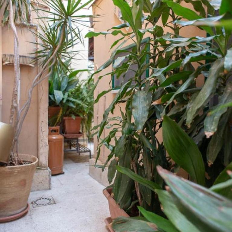 ERCTA - Apartment with Terrace - 10