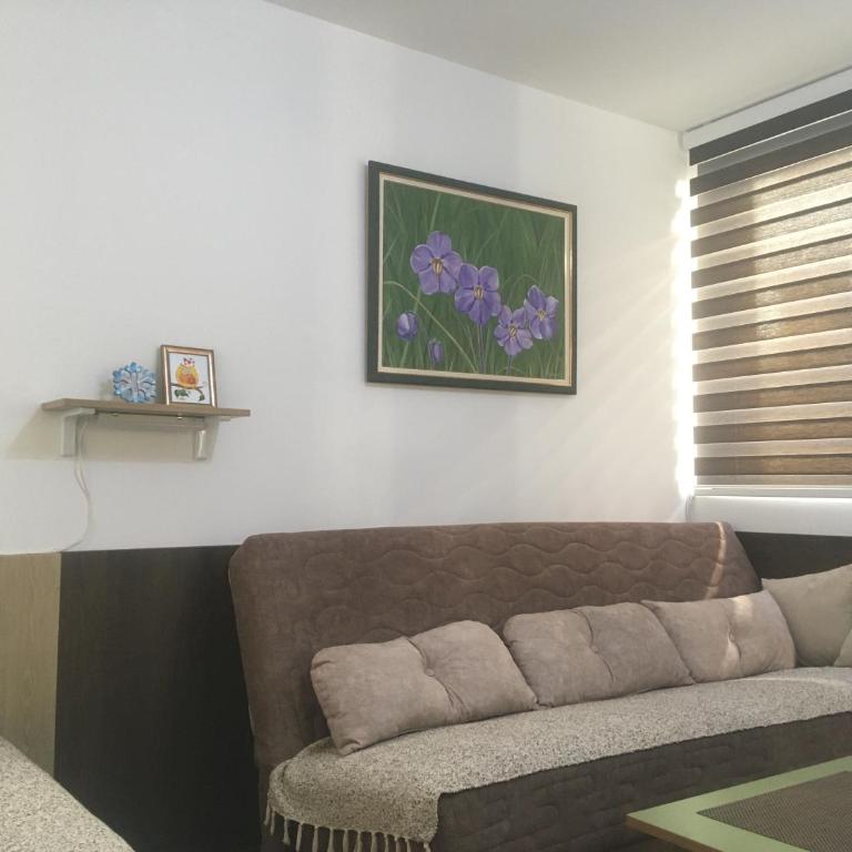 Apartment Ramonda - One-Bedroom Apartment - 2