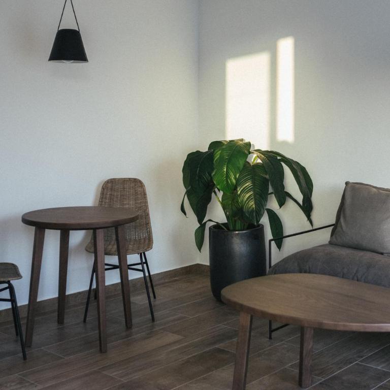 Alava Suites - Apartamento con balcón - 1