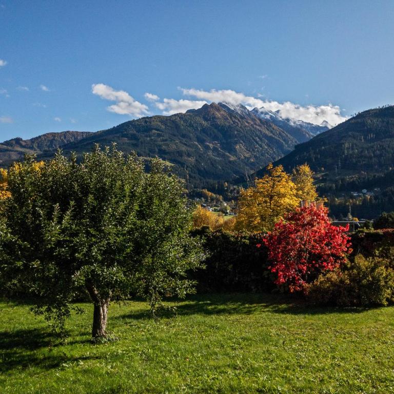 Alpine View Apartments - Apartment - Ground Floor - 25