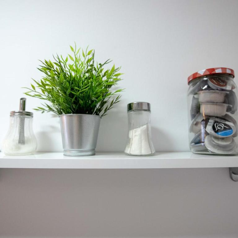 NEW! Málaga Suite with pool and parking in the center! - Apartamento - 12