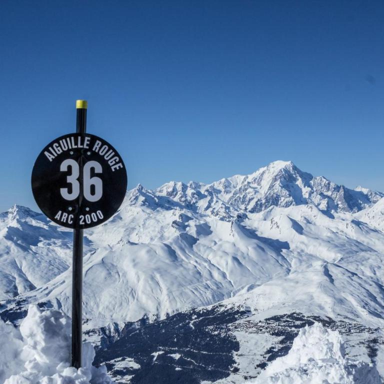 ALPS les ARCS 1950 Prince des Cimes, ski-in out,swimming pool, sauna, shoes dryer - Appartement 1 Chambre - 25