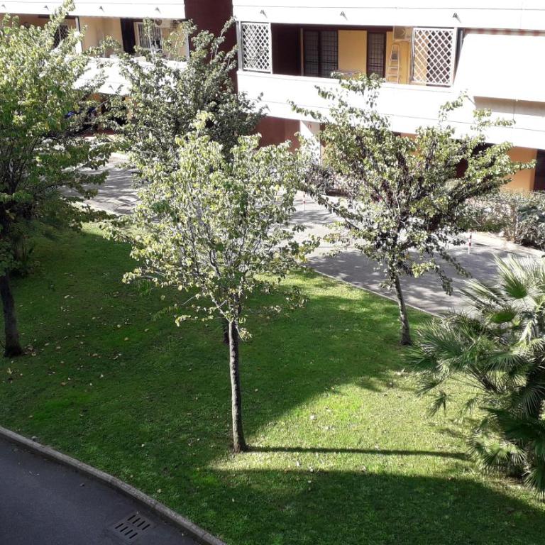 Alloggio turistico a Giardino di Roma - Appartement 1 Chambre - 20
