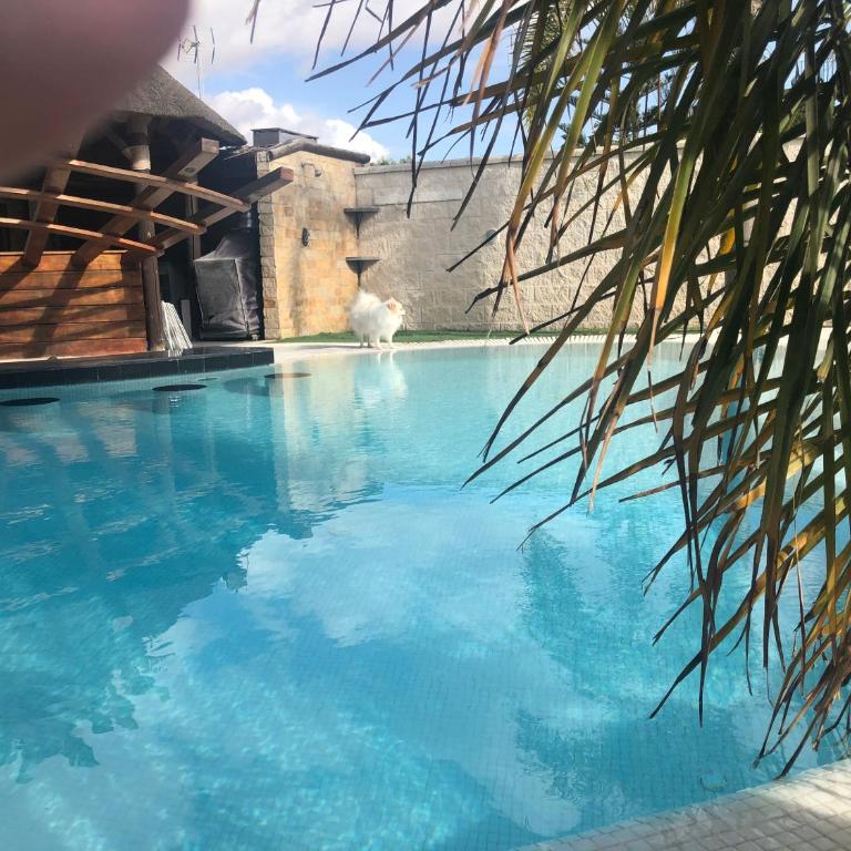 Villa Campito - Villa con piscina privada - 24