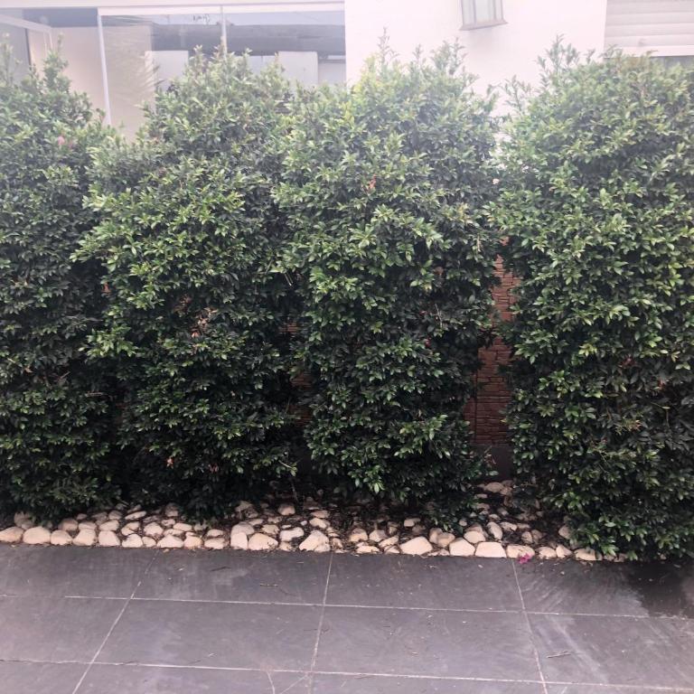 Villa Campito - Villa con piscina privada - 61