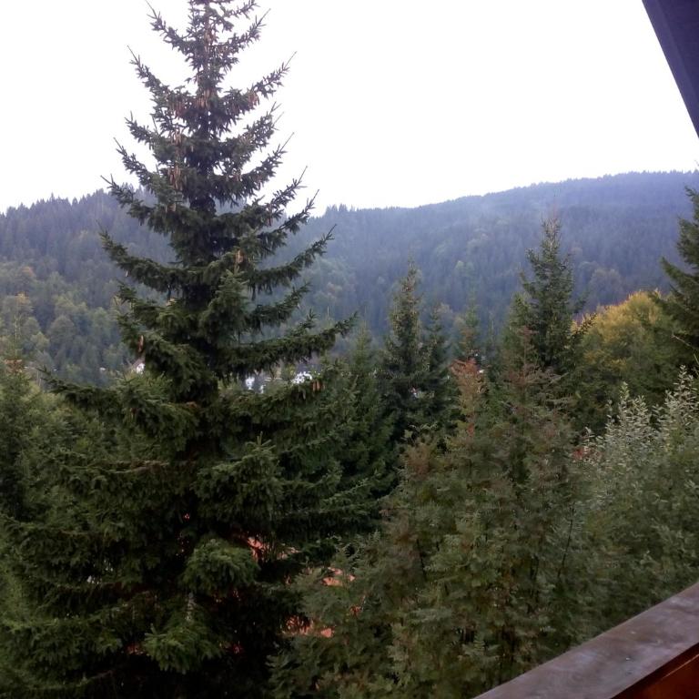 Apartments Holiday Home Srce - Two-Bedroom Apartment - 28