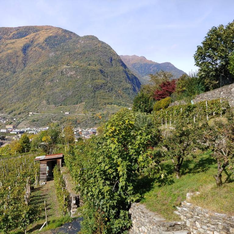 pisolo selvaggio - Apartment mit 2 Schlafzimmern - 40
