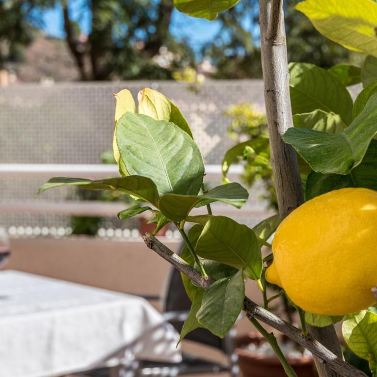 Casa Limonar Málaga - Apartamento de 2 dormitorios - 14
