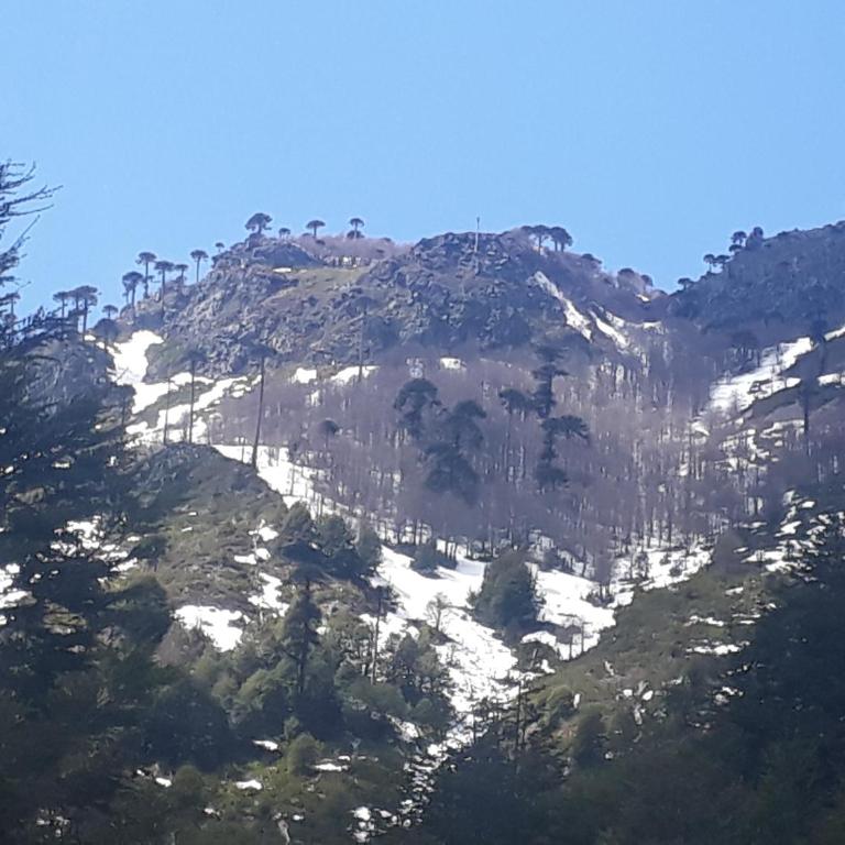 Cabaña San Pedro - Three-Bedroom House - 26