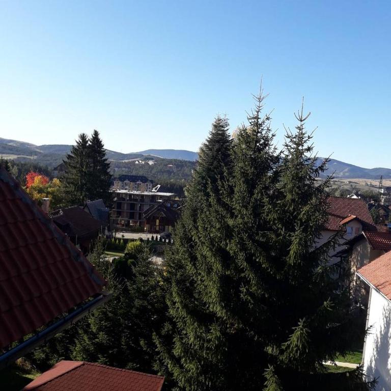 Apartmani Kajkut Zlatibor - Apartman sa 1 Spavaćom Sobom - 10