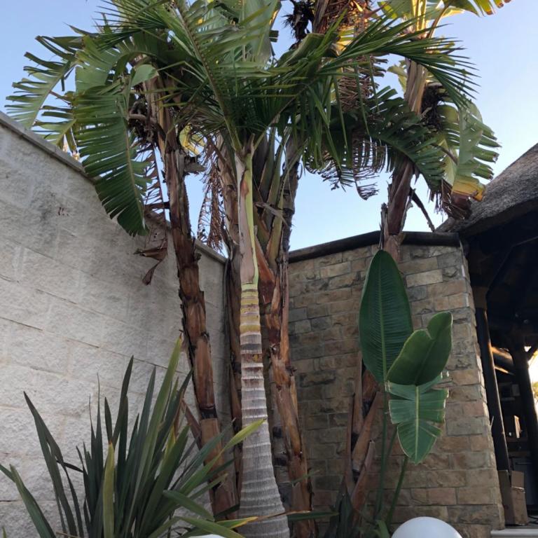 Villa Campito - Villa con piscina privada - 52
