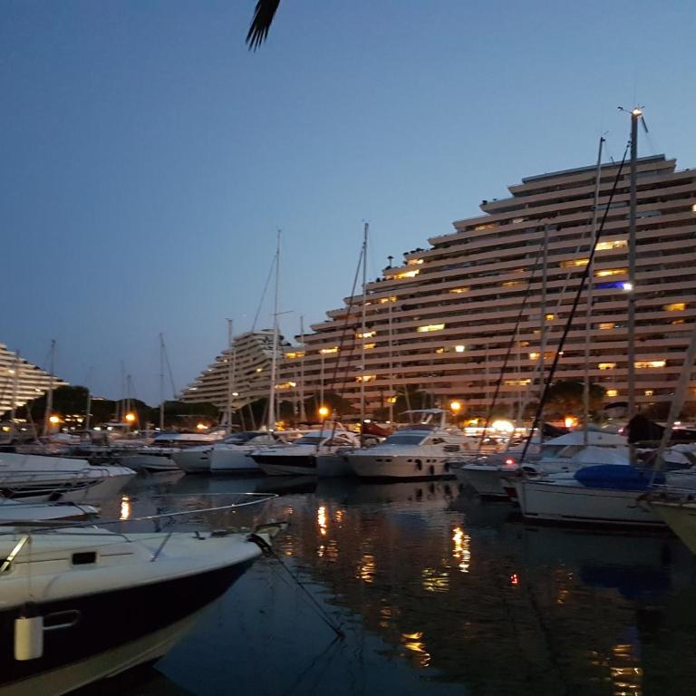 Lovely apartment in Marina Baie des Anges- Baronnet - Sew view, free parking spaces on site, restaurants, beach, supermarket - Apartamento de 1 dormitorio - 7