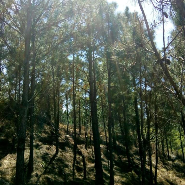 Terra Nostra - Two-Bedroom House - 51