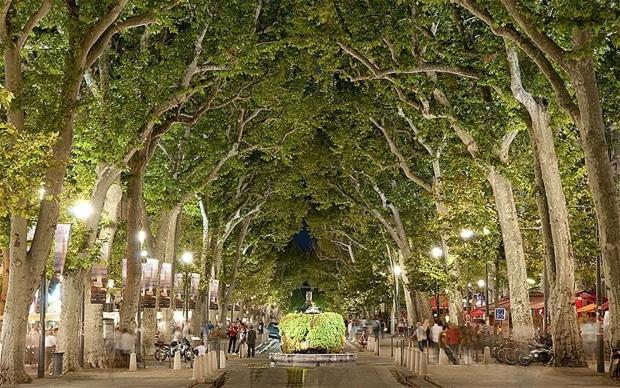Studio à Deux Pas d'Aix - Studio (2 Adults) - 15