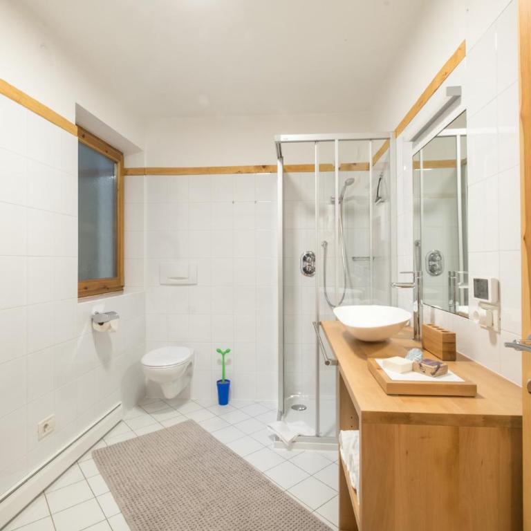 Art Apartment Schatzer - Apartamento con vistas a las montañas - 8