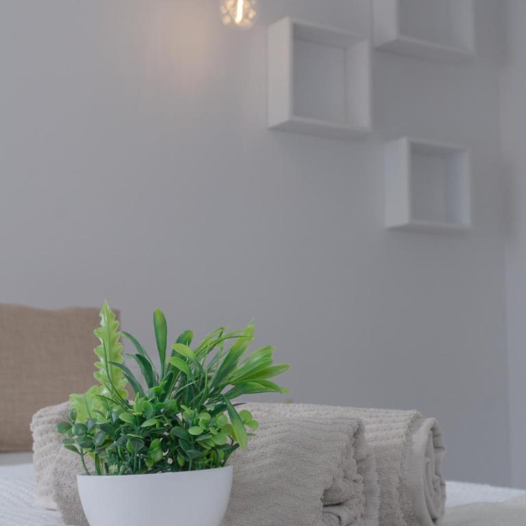 Obispo Fitero - Apartamento de 2 dormitorios - 8