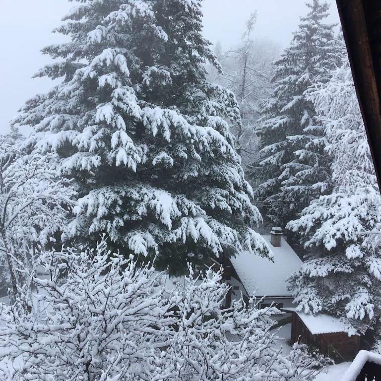 Chalet Blanche Neige - Chalet - 16
