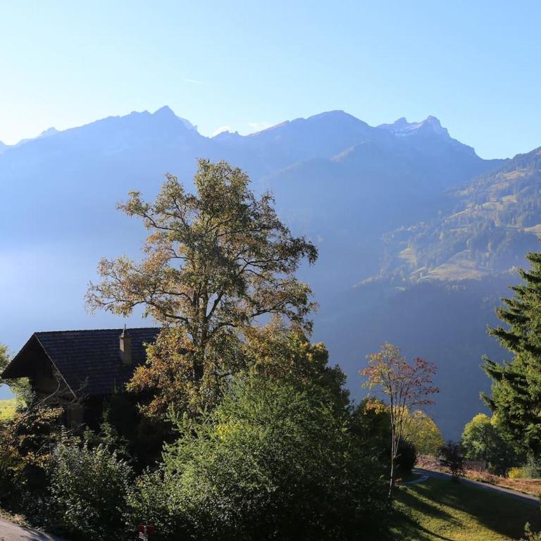 Chalet Blanche Neige - Chalet - 17