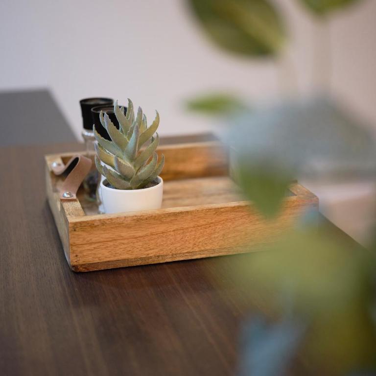 Poble Nou I You Stylish Apartments - Two-Bedroom Apartment - 11