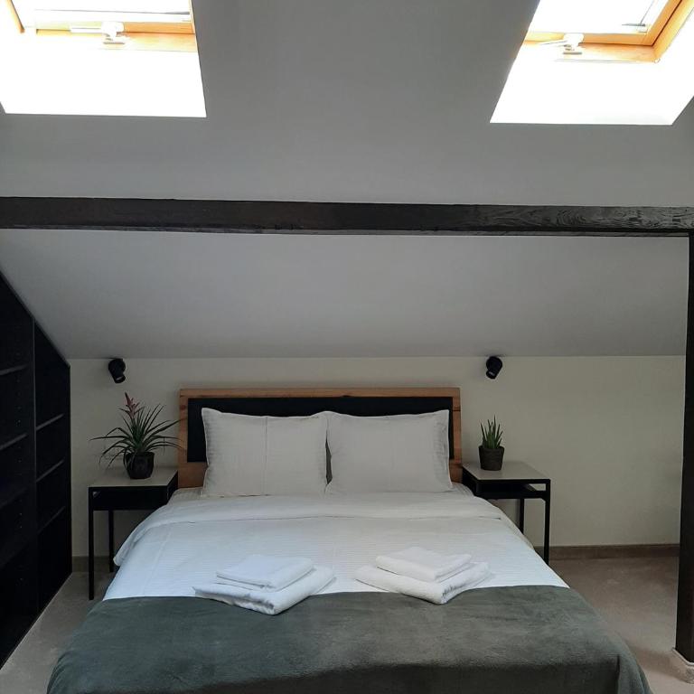 Urban Lodge Belgrade - Studio Apartman - 6
