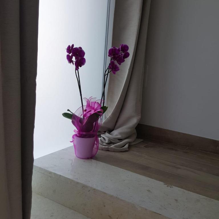 dimora Spine Bianche - One-Bedroom Apartment - 11