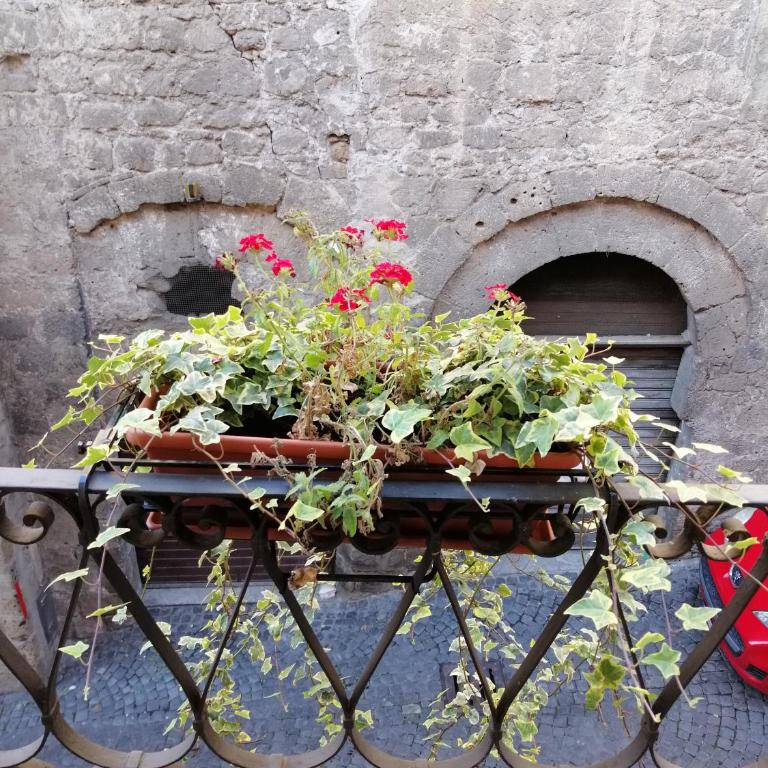 Alla cava Orvieto - Appartamento Monolocale - 17
