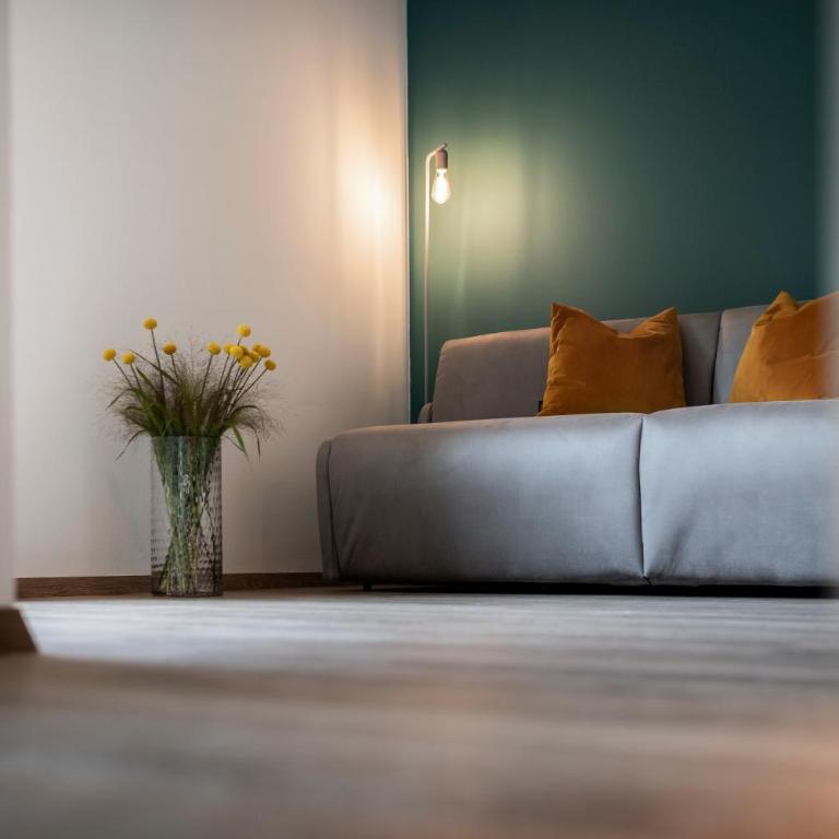 Sambucus Apartments -Premium Apartments for You and Your Dog - Apartamento de 1 dormitorio - 9