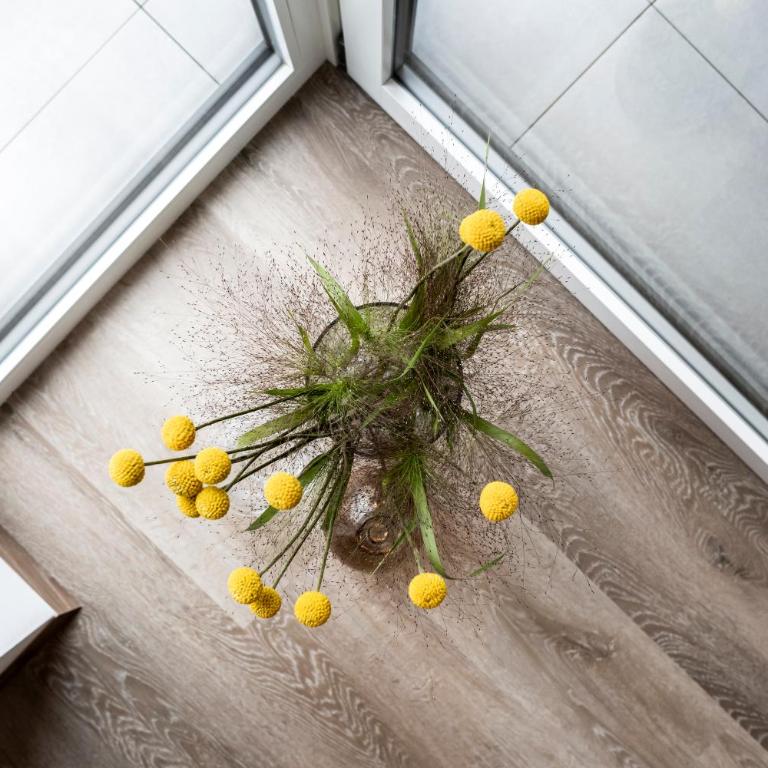 Sambucus Apartments -Premium Apartments for You and Your Dog - Apartamento de 1 dormitorio - 19