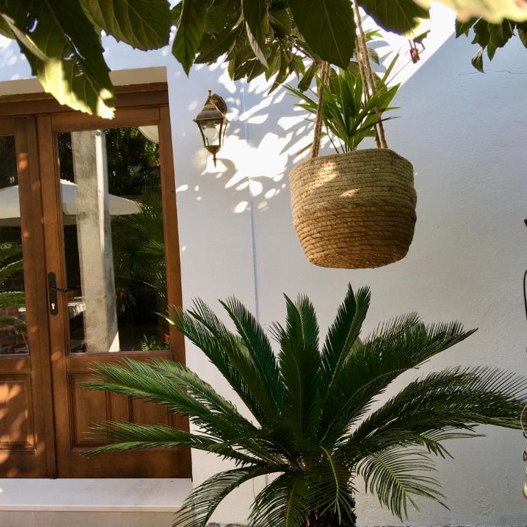 Palmera - Studio Apartment - 19