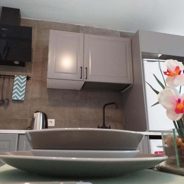 Tropical Loft - Apartamento de 1 dormitorio - 6