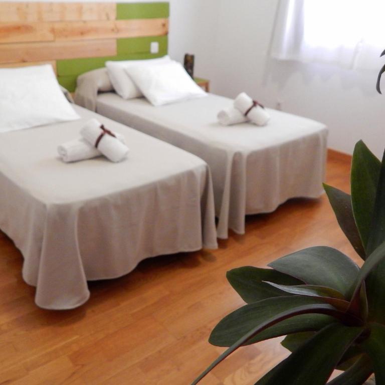 Twenty Seven Degrees Las Palmas - Habitación Doble con baño compartido - 1 o 2 camas - 3