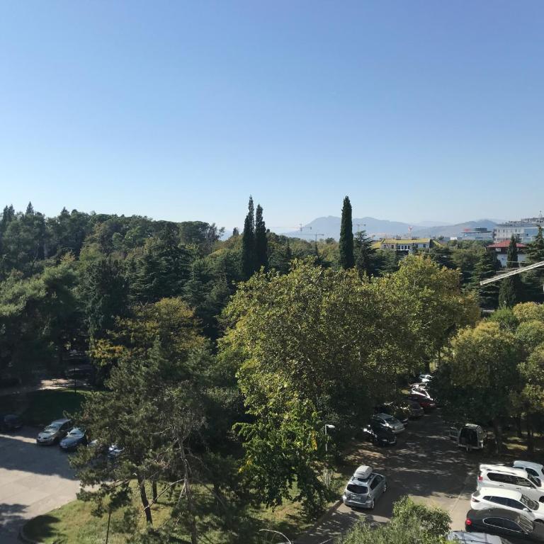 SunFlat Podgorica - Novakovic Residence - Apartman sa 1 Spavaćom Sobom - 20