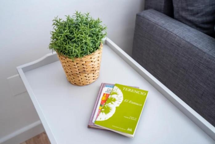 Apartamento MINAGA 2 - Apartamento de 1 dormitorio - 15