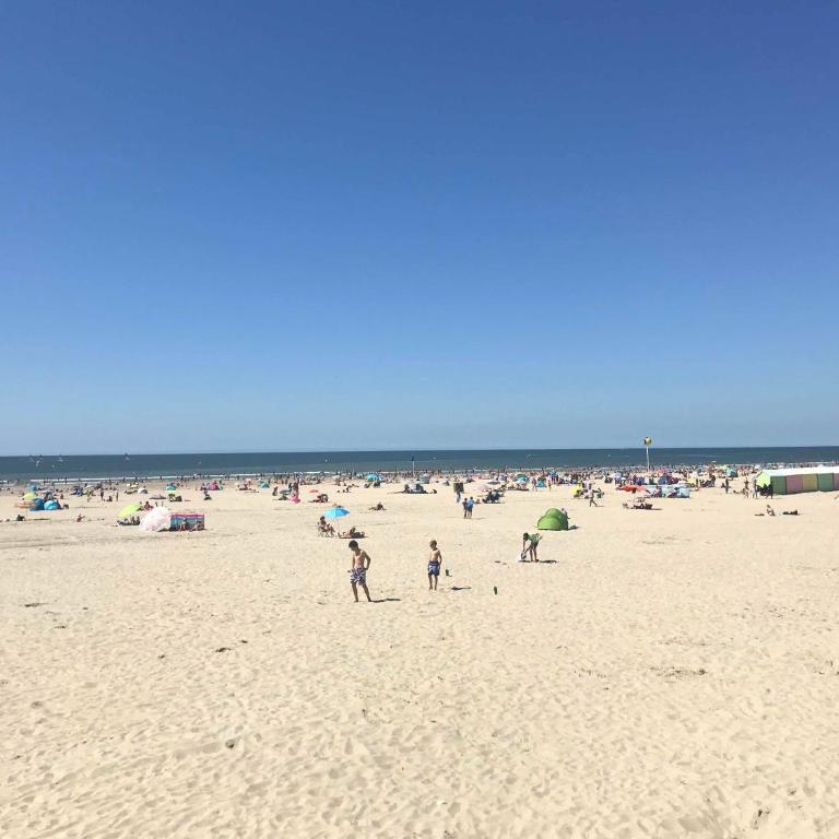 Appartement à 30 m de la plage - lumineux - respirant - WIFI - Le Cérès 1 - Apartment mit 1 Schlafzimmer - 11