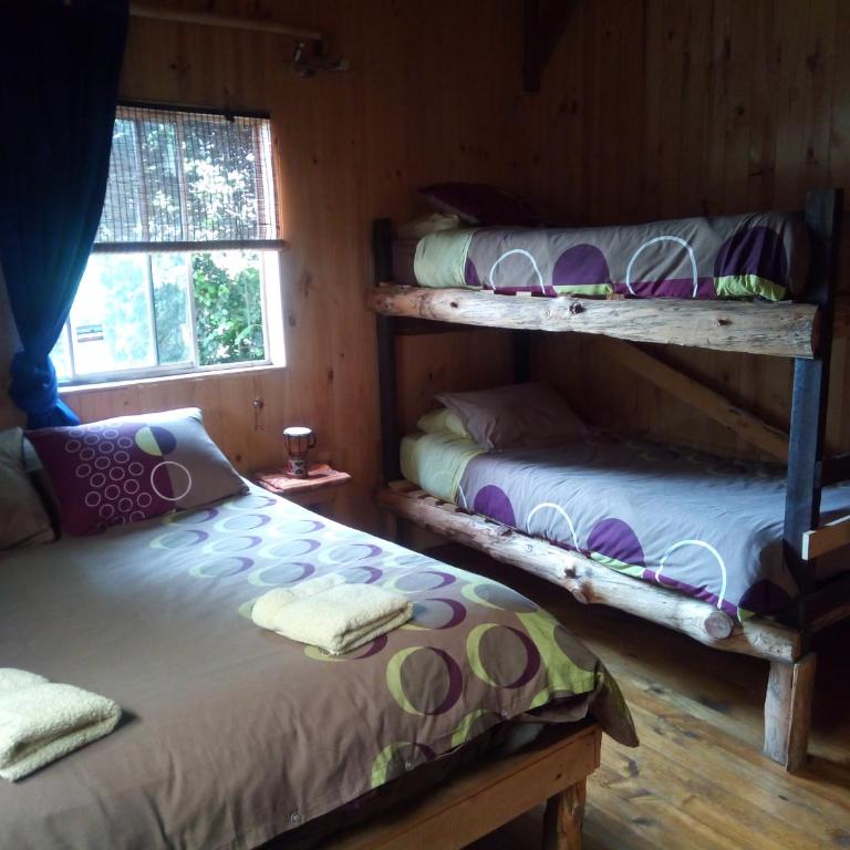 EKILIBRE Surf Eco Hostal - Standard Family Room - 1