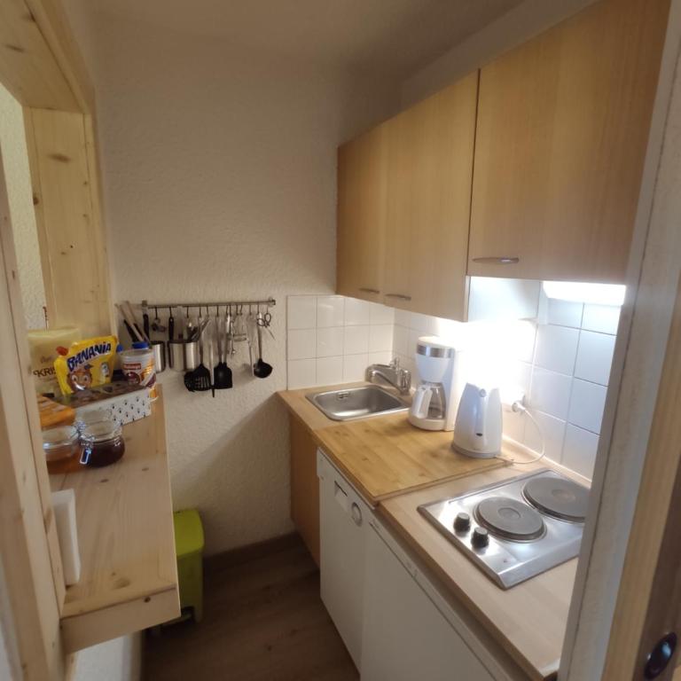 LES CHATAIGNIERS GRIS - Appartement 1 Chambre - 12
