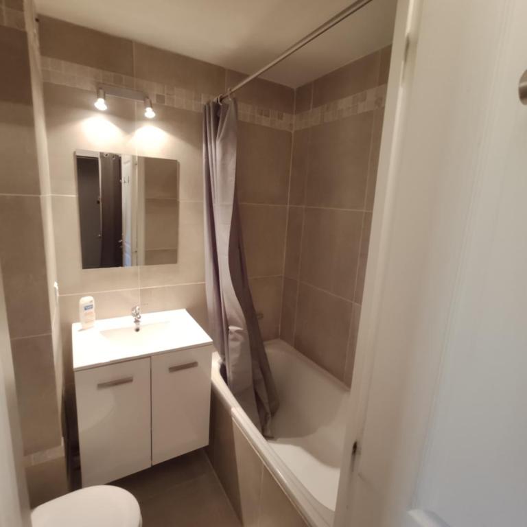 LES CHATAIGNIERS GRIS - Appartement 1 Chambre - 13