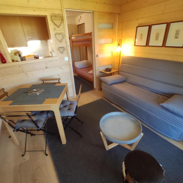 LES CHATAIGNIERS GRIS - Appartement 1 Chambre - 1