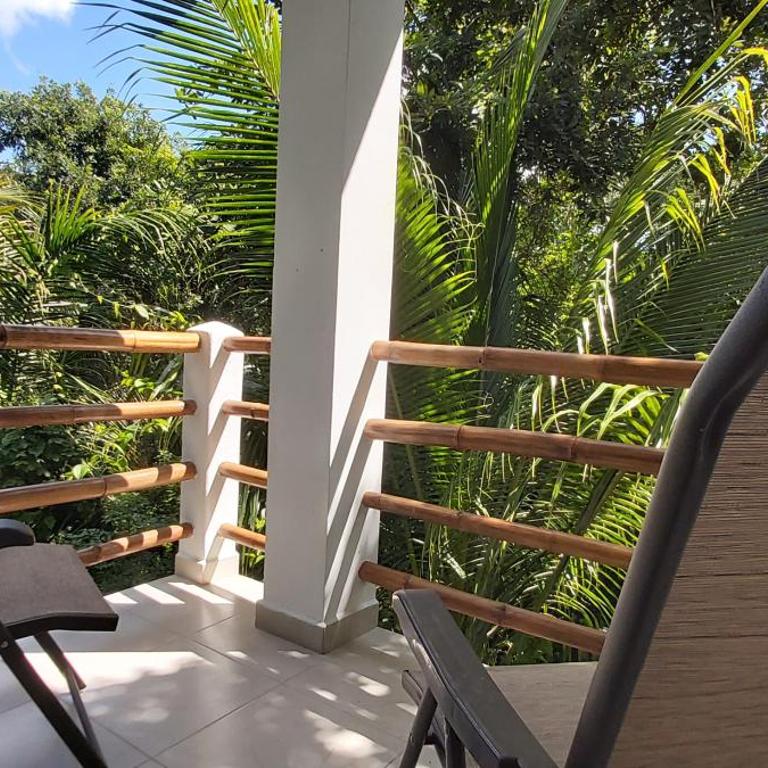 MINI PINI BIRD WATCHING AND CENOTE Loft - Villa de 1 dormitorio - 26
