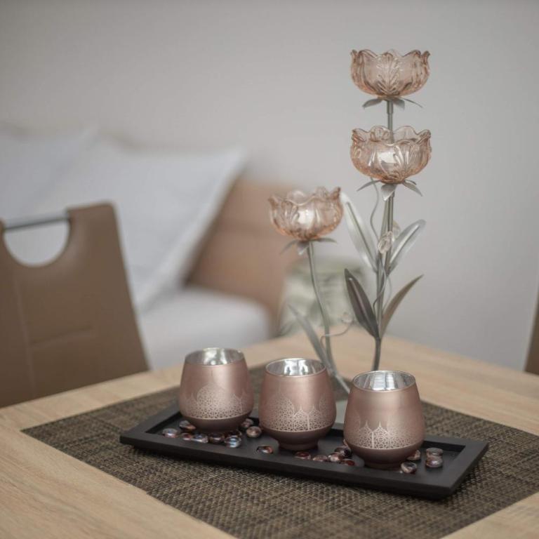 Apartments Gvozdenovic - King Studio with Sofa Bed - 7