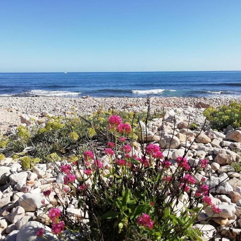 Denia playa montañas y mucho más - Apartamento - Planta baja - 21