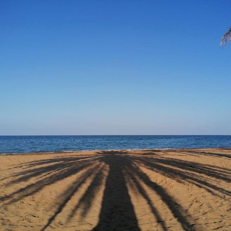 Denia playa montañas y mucho más - Apartamento - Planta baja - 22