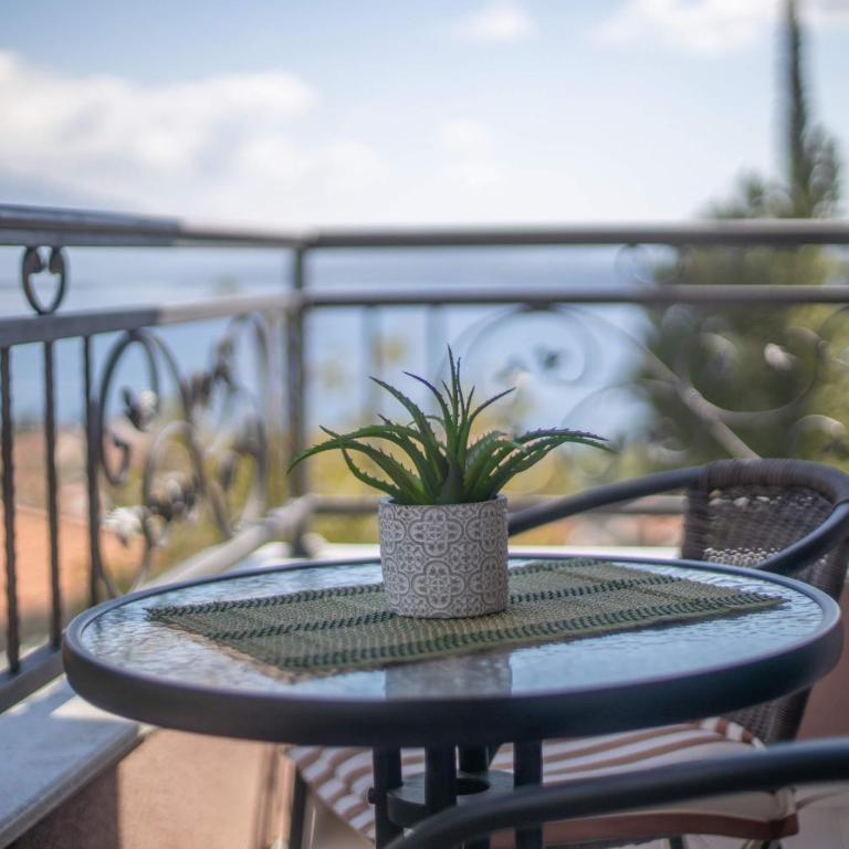 Apartments Gvozdenovic - Studio with Sea View - 5