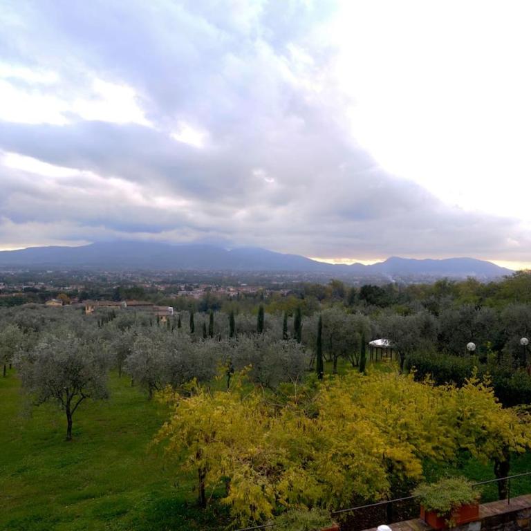 Casale rinnovato immerso nella campagna con splendida piscina privata - Casa con 8 Camere da Letto - 18