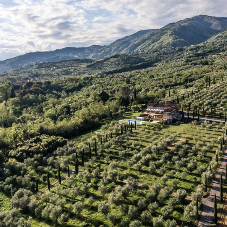 Casale rinnovato immerso nella campagna con splendida piscina privata - Casa con 8 Camere da Letto - 3