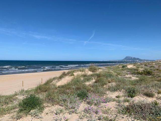 PALMERAS EN LA PLAYA - Beach House in Oliva - Apartamento de 3 dormitorios - 23
