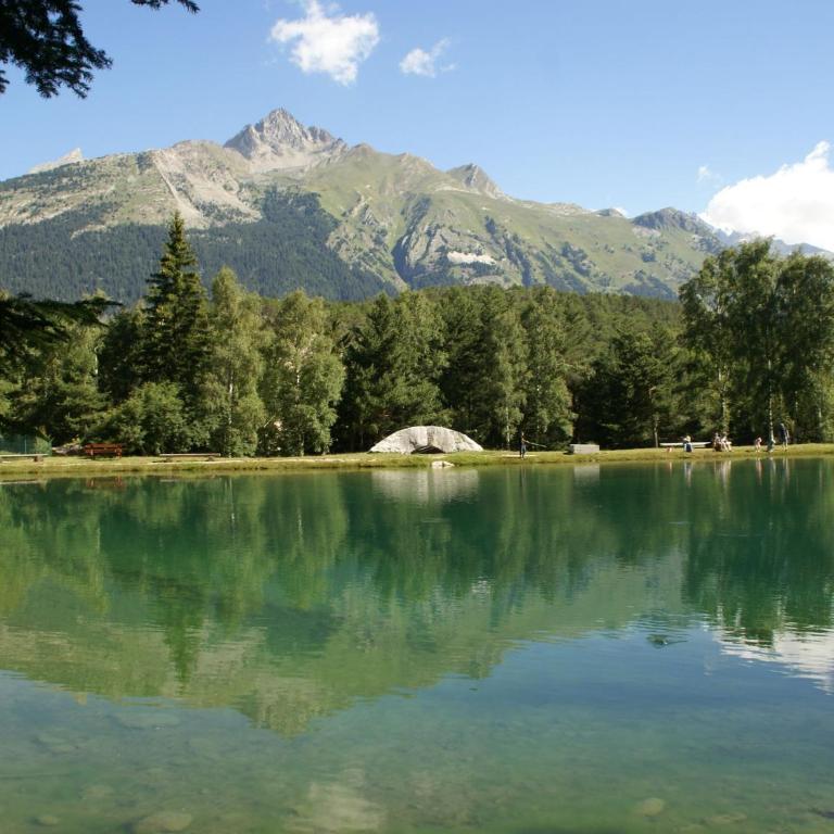 Chalet in La Norma near Ski Lift - Chalet Supérieur - 17